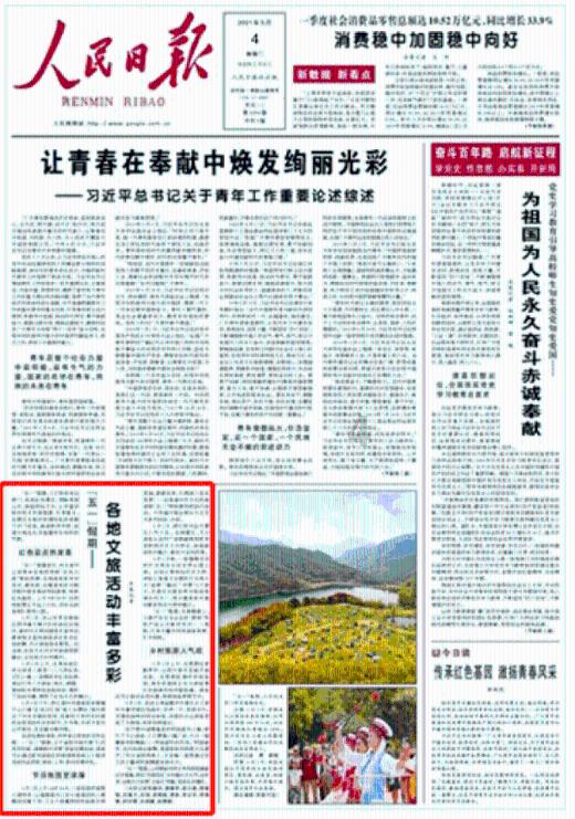 逃离泰莱森林