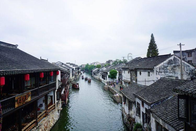 早熟葡萄苗多少天？